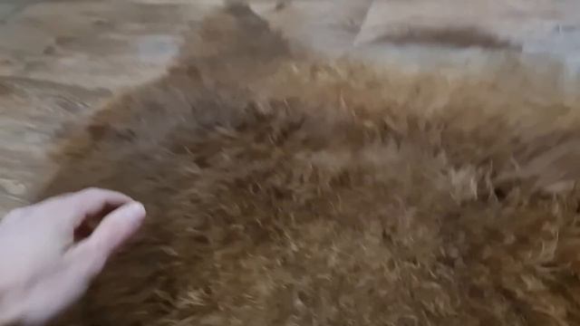 ШКУРА ОВЕЧЬЯ КОРИЧНЕВАЯ (КОД: 4935) смотреть онлайн