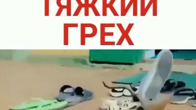 Змияа ?? дурак