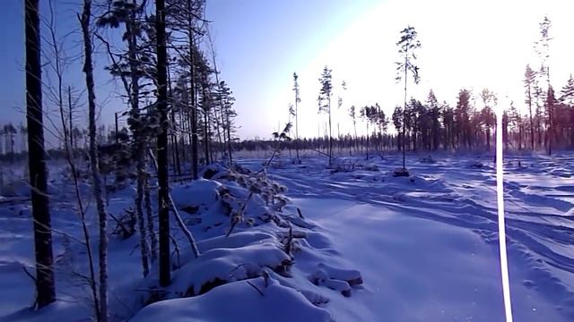 Поездка на деляну. Камень памяти. 300 км пути. Красивейшие пейзажи смотреть онлайн