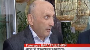 В Ярославском зоопарке открылся экзотариум