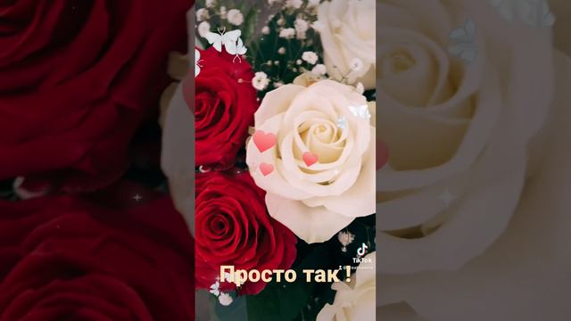 Цветы без повода 💐 просто так