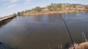 Первая рыбалка на голавля в этом году. Ловим голавля на воблеры.