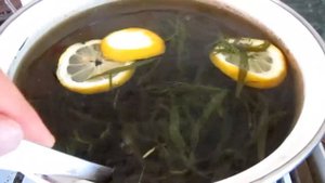 Тархун - лимонад в домашних условиях (рецепт)