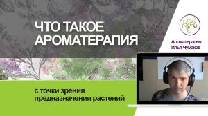 Что такое ароматерапия и что такое эфирные масла с точки зрения предназначения растений