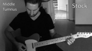 Pribora Blues Classic vs Telecaster Standard (MiM) stock - Telecaster pickup comparison