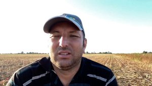 Уборка 2020 продолжается. Убираем кориандр.