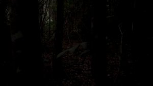 История На Ночь - Цап-Цап