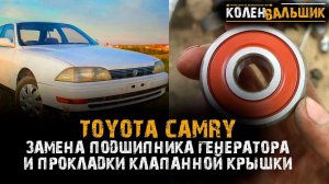 Toyota Camry.  Замена  подшипника генератора и прокладки клапанной крышки.
