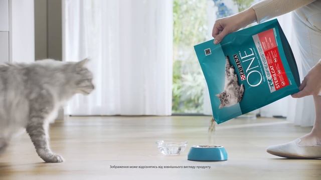 Purina ONE sterilcat смотреть онлайн