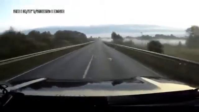 Птицы в попадают в лобовое стекло автомобиля! смотреть онлайн