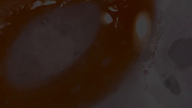 Стиральный порошок под микроскопом смотреть онлайн