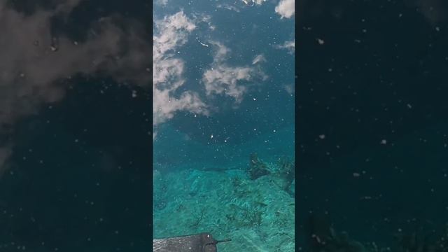 Голубое озеро Самарская обл. смотреть онлайн