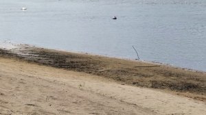 состояние воды в реке