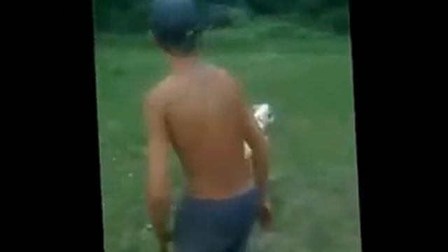 Теленок радуется жизни.