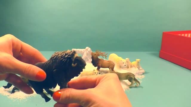 Животные Арктики смотреть онлайн