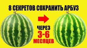 Как Сохранить Арбуз На Зиму. 8 способов