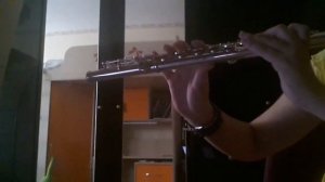 Мельница - Дракон. ( Flute cover )