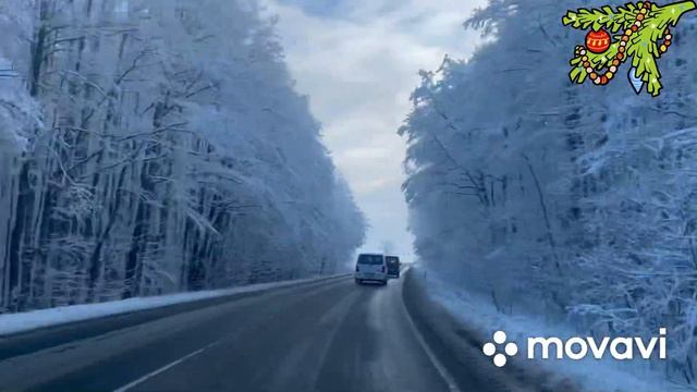 Красоты Калининградской области.