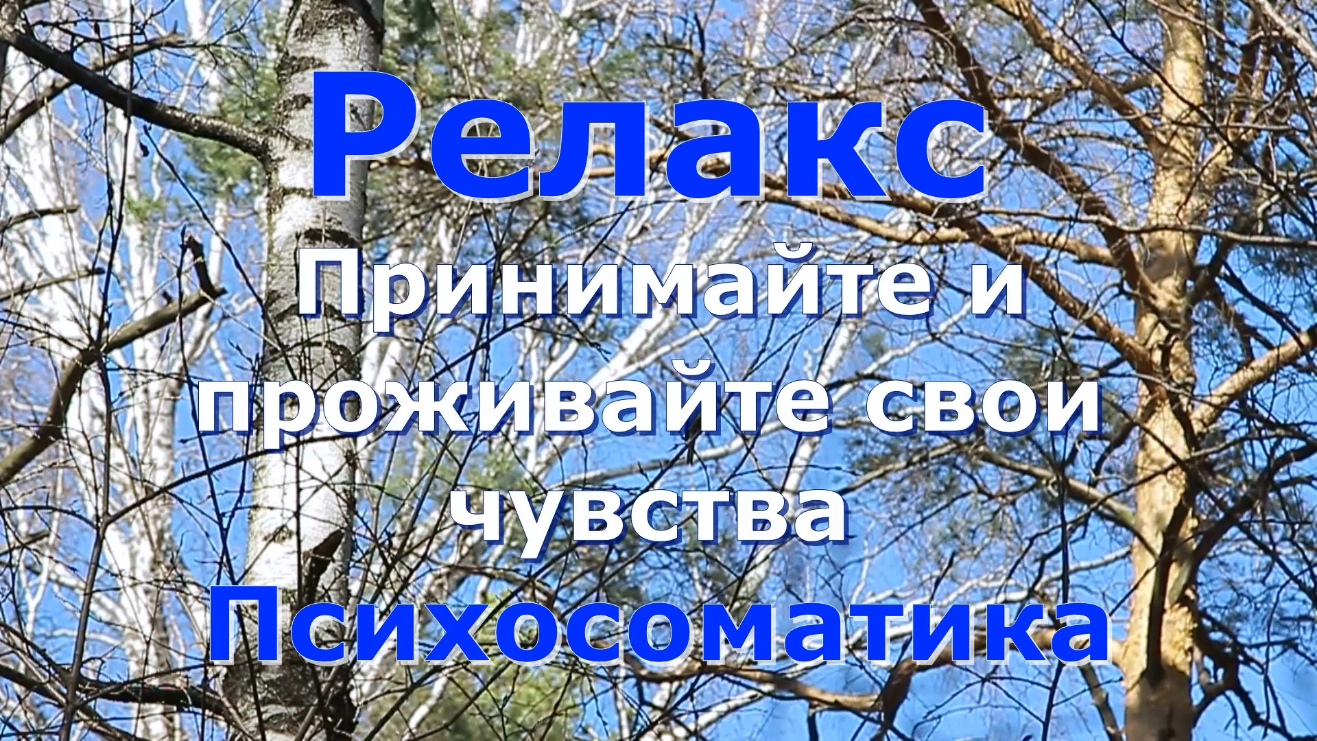 Релакс настрой. Проживайте свои чувства. Психосоматика Читает автор Светлана Авдеева