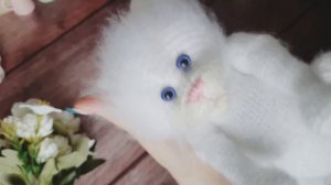 Как начесать игрушку?