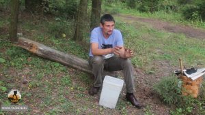 Приманки на волка. Краткий обзор и рецепт приготовления.