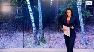 Три простых способа избавиться от гусениц на деревьях