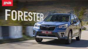 Subaru Forester 2018 ― тест-драйв с Никитой Гудковым