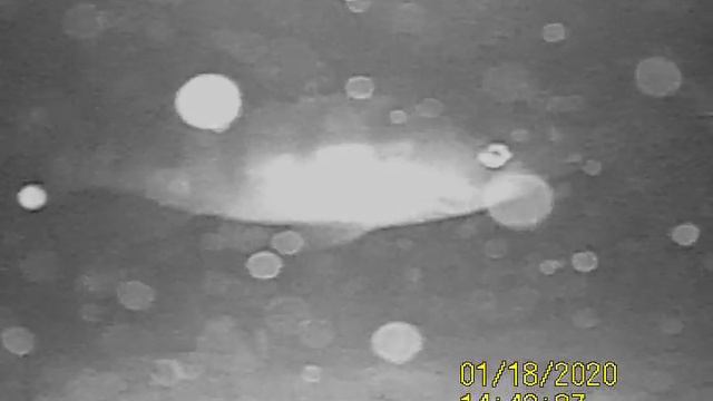 Тест камеры калипсо глубина 6 метров смотреть онлайн