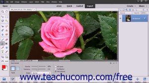 Photoshop Elements 2018 Tutorial Using the Paint Bucket Tool Adobe Training