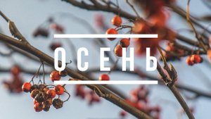 Осень