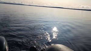 РЫБАЛКА НА ОЗЕРЕ В.КУЙТО,КАРЕЛИЯ.