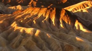 Дикий мир будущего - 2