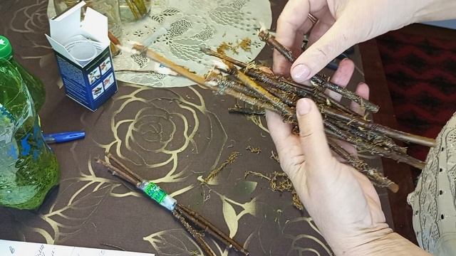 27.КАК СОХРАНИЛИСЬ МОИ ВЕТОЧКИ ГОРТЕНЗИЙ В ХОЛОДИЛЬНИКЕ И В ПРИКОПЕ!МОЙ РЕЗУЛЬТАТ-ПЛЮСЫ И МИНУСЫ!