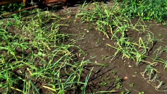 САВЕЛИЙ АД РАЗБИЛ ТЕЛЕФОНОМ СТЕНУ | ИРА ОТКАЗАЛАСЬ ОТ МАТЕРИ | УДАЛЁННАЯ ТРАНСЛЯЦИЯ смотреть онлайн