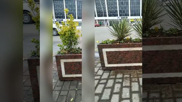 Вазоны Горшки Кашпо из натуральных природных камней гранита мрамора травертина смотреть онлайн