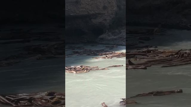 #шок #водоворот #жесть смотреть онлайн