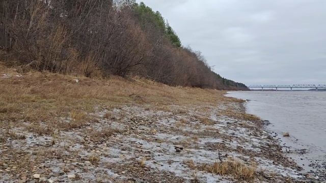 Ловля налима на донки осенью
