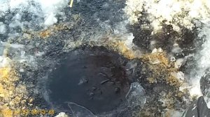 Шатура рыбалка в осинниках муромское озеро