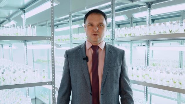 Как возрождается российское семеноводство. Часть 1. Сахарная свекла