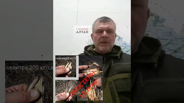 Агроном Олег Шуховцов: биопрепараты значительно снизили количество почвенных патогенов