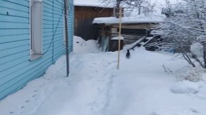 ЖИЗНЬ В АЛТАЙСКОМ КРАЕ,город Заринск