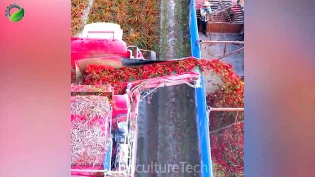 Modern Agriculture Machines That Are At Another Level #53 смотреть онлайн