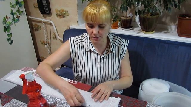 Посадка семян лука на рассаду . смотреть онлайн