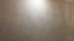 Венецианка Двух Цветов.