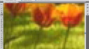 7  Что такое пиксели или изчего состоит картинка