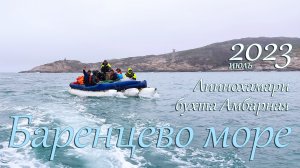 2023 - Баренцево море. Лиинахамари. Губа Амбарная