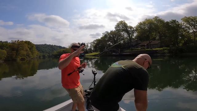 River Trout Catch n' Cook! смотреть онлайн