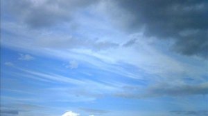 - МХО МСЦ ЕХБ  Боже дай терпенье