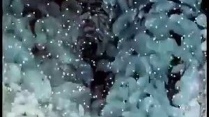 Шоу группа Улыбка Российский Дед Мороз