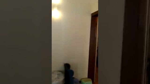 3х комнатная квартира 38131